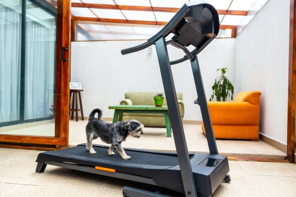 Treadmill Installation in Hudson