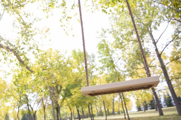 Tree Swing Installation in Hudson