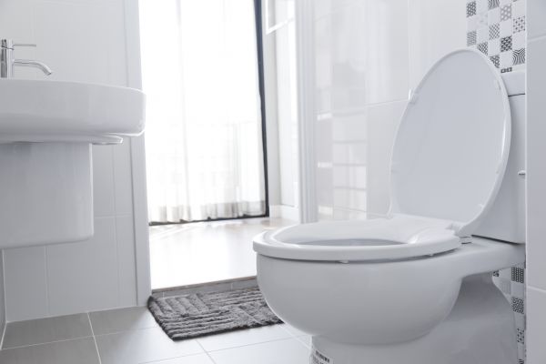 Toilet Seat Installation in Hudson