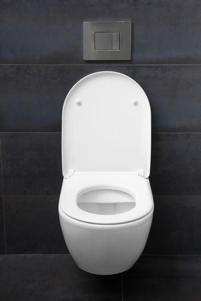 Toilet Lid Installation in Hudson