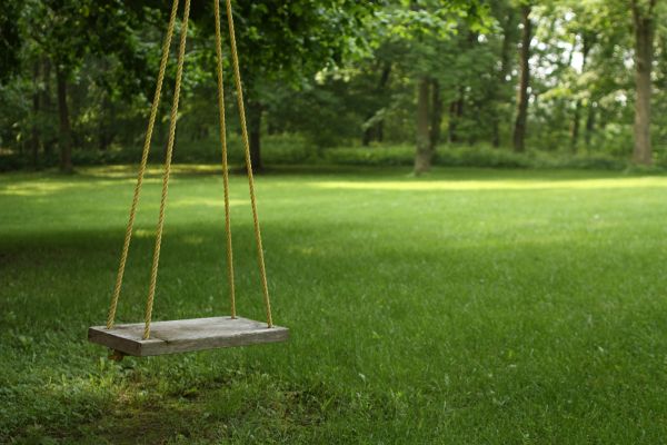 Rope Swing Installation in Hudson