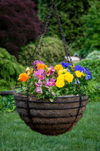 Hanging Basket Installation in Hudson