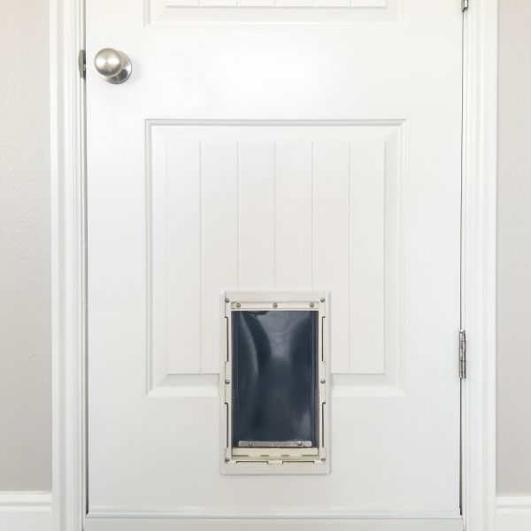 Pet Door Repair in Hudson