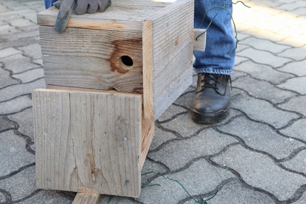 Birdhouse Mounting in Hudson