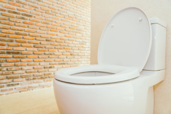 Toilet Seat Repair in Hudson
